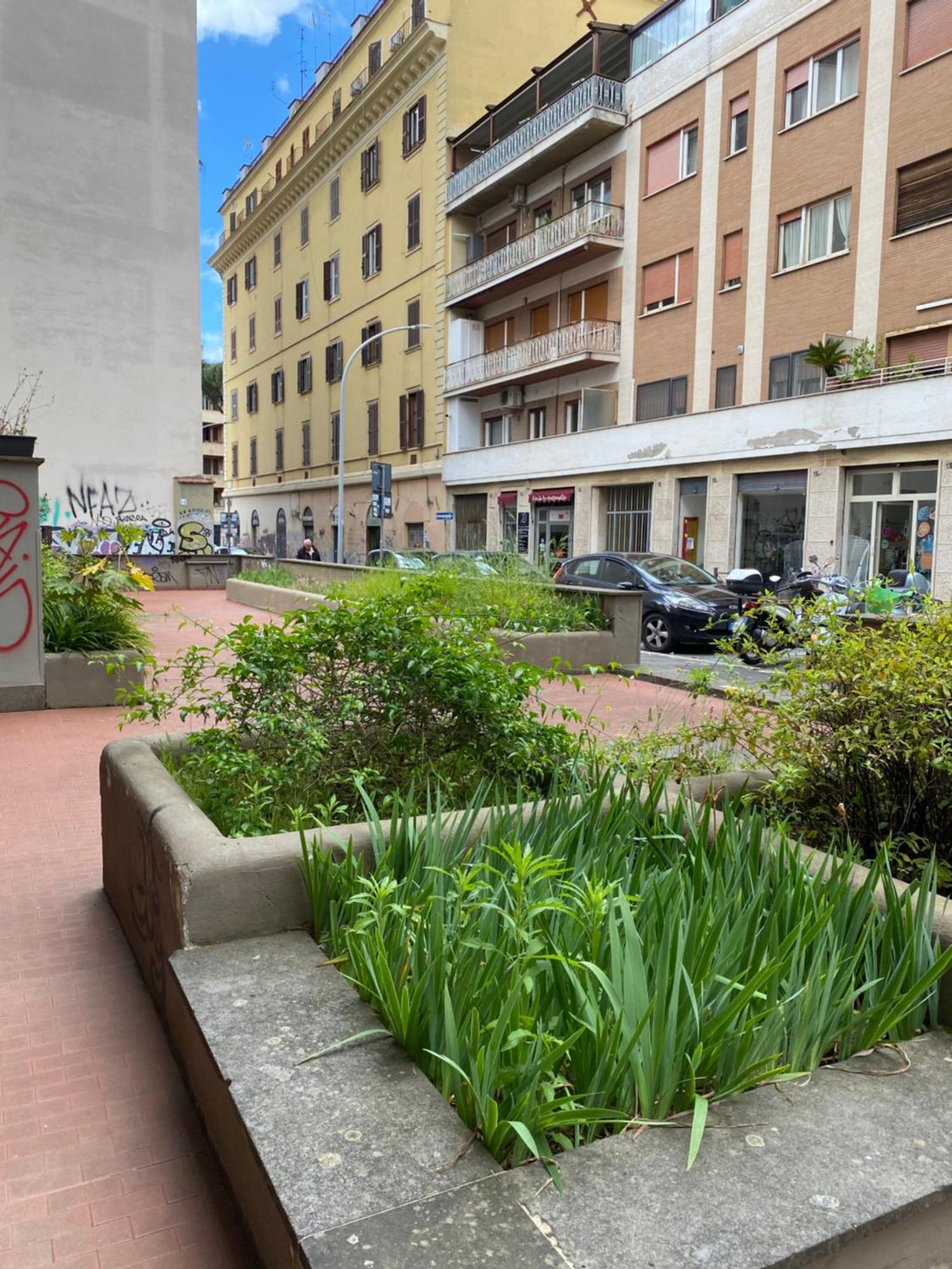 Saluzzo * Roma
